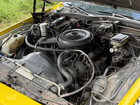 Thumb Image 1